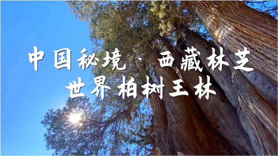 古典女神