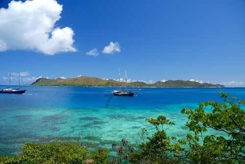 请问如何正确补充氨糖？游戏画面