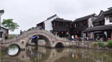 忍者鲨鱼
