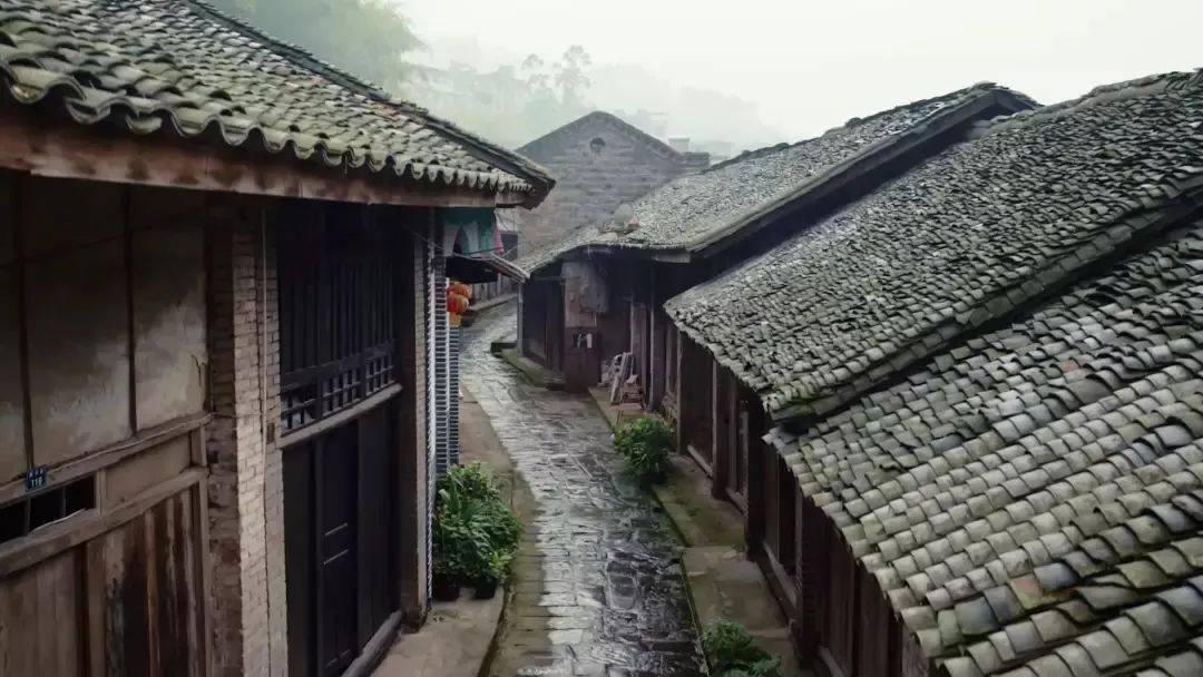 逃离水虎鱼湖